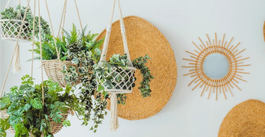 Creative Ways to Incorporate Plants into Your Space