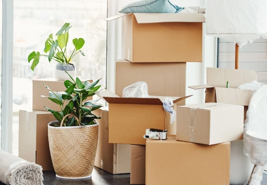 Settling Into Your Northern Rental in the Summer